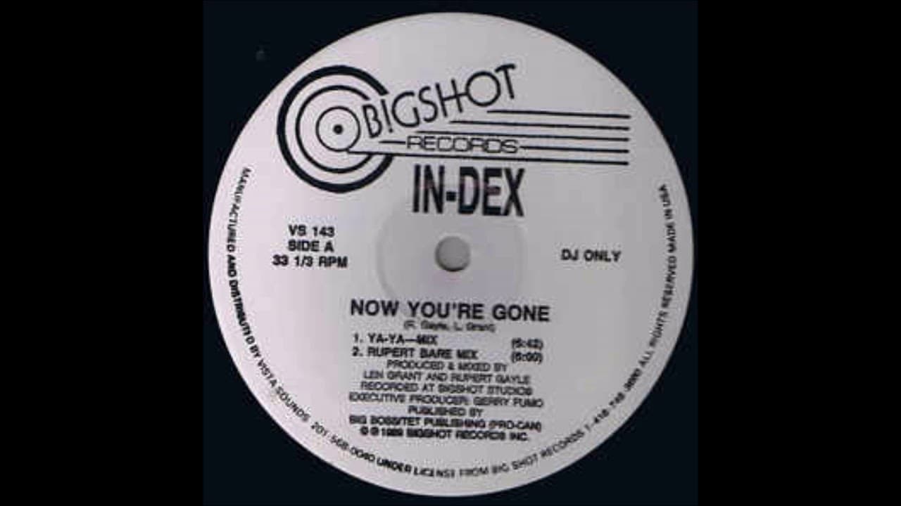 In-Dex - Now You're Gone